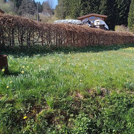 Chalet Du Poli, Longemer, Entre Et Montagne Xonrupt-Longemer